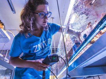 Young female researcher reaches into a tank at the ZMT's seawater facility